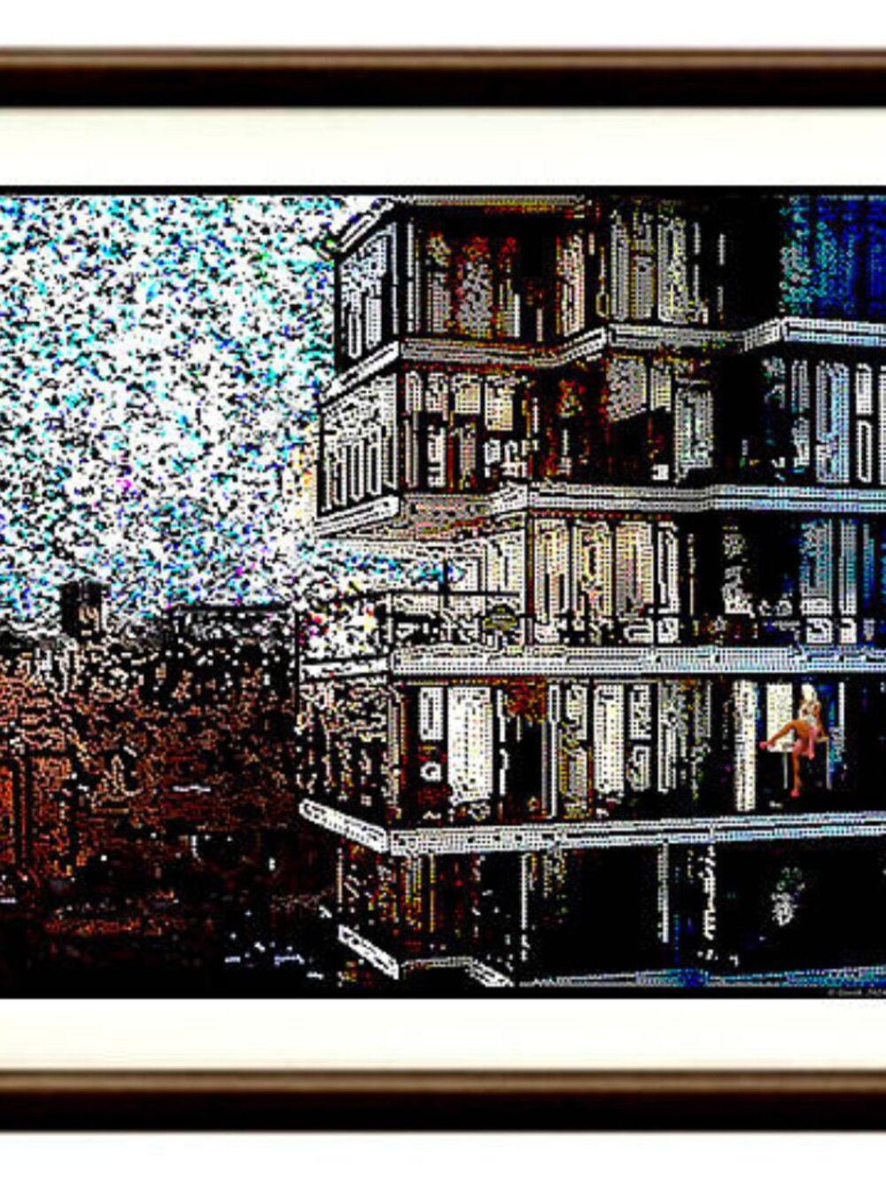 "Project" (From the Brothel series)